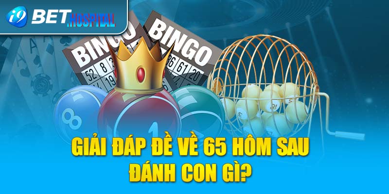 Giải đáp đề về 65 hôm sau đánh con gì?