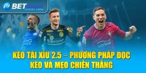 Kèo tài xỉu 2.5 – Phương pháp đọc kèo và mẹo chiến thắng