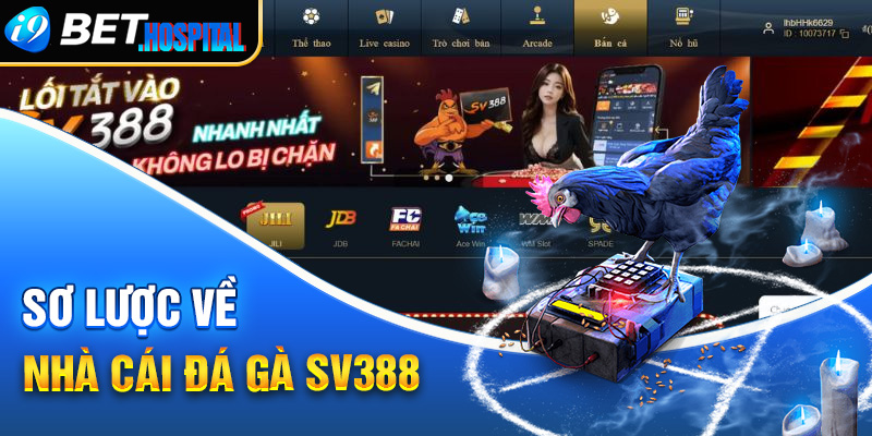 Sơ lược về nhà cái đá gà SV388